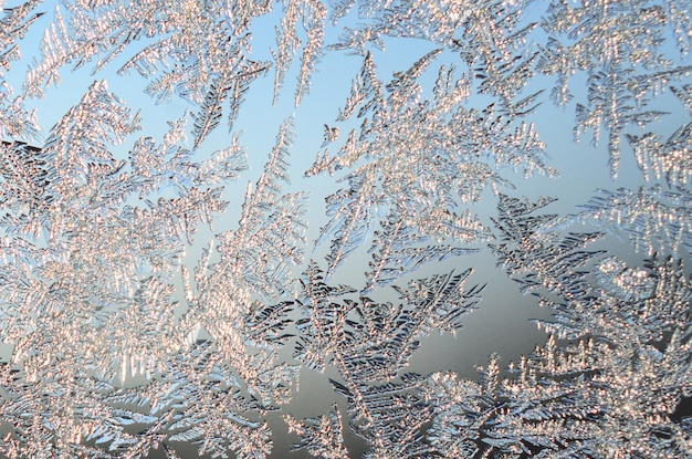 Macro di brina dei fiocchi di neve sulla lastra di vetro di finestra