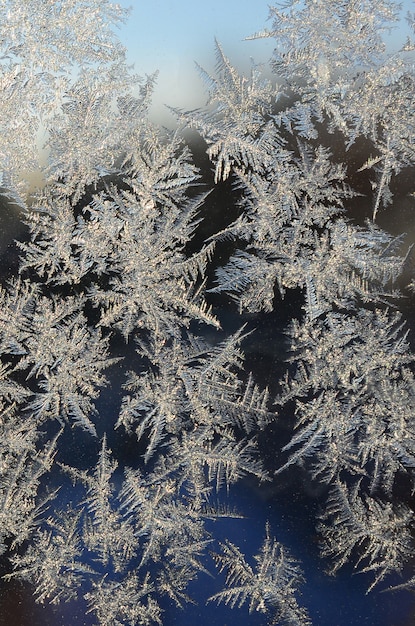 Macro di brina dei fiocchi di neve sulla lastra di vetro di finestra