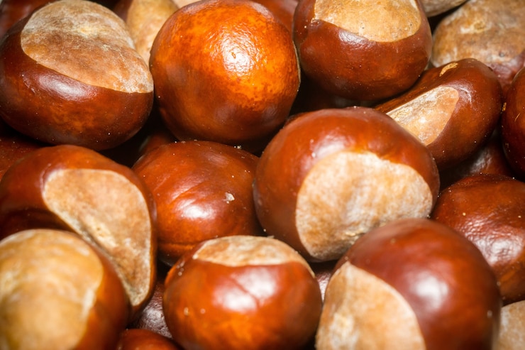 Foto macro di castagne fresche