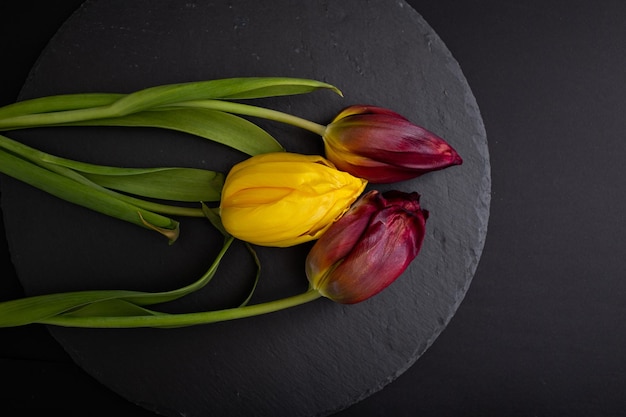 Macro di fiori luminosi su sfondo nero