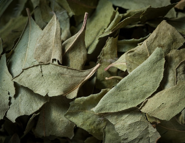 Macro girato su foglie di curry essiccate