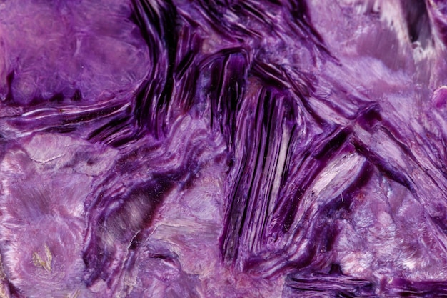 Macro minerale di pietra Charoite su sfondo bianco