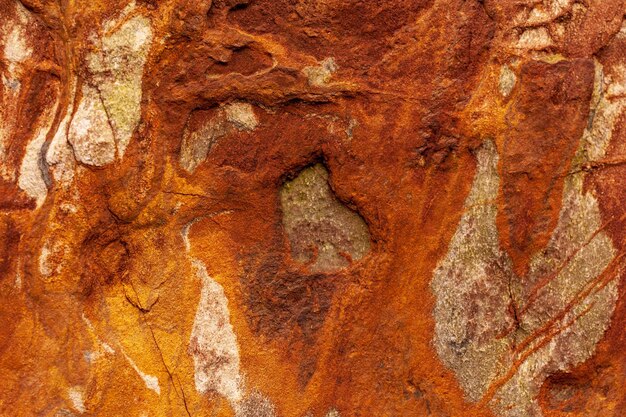 Macro paesaggi a playa del silencio sulla costa asturiana spagna