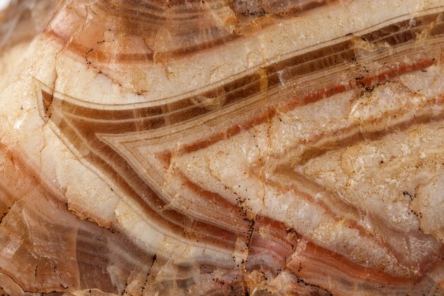 Macro pietra minerale agata marrone su sfondo bianco