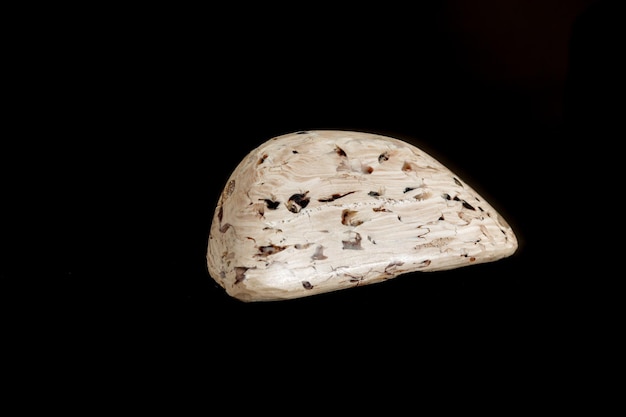 Macro pietra minerale Legno pietrificato su sfondo nero