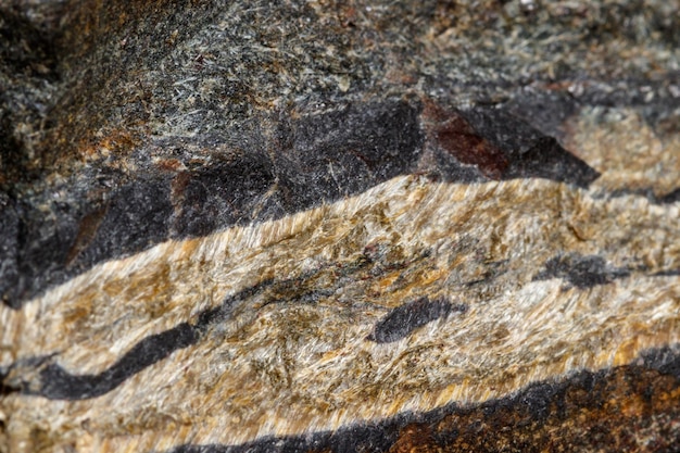 Macro pietra minerale Occhio di serpente nella roccia uno sfondo bianco