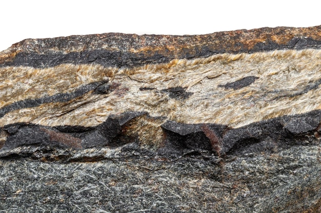 Macro pietra minerale Occhio di serpente nella roccia uno sfondo bianco