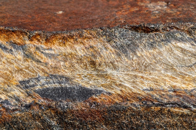 Macro pietra minerale Occhio di serpente nella roccia uno sfondo bianco