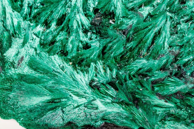 Macro pietra minerale plisoviy peluche satinato malachite su sfondo bianco