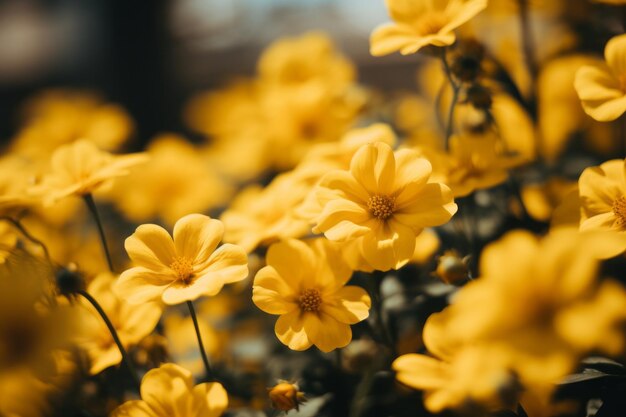 Macro radiante che cattura lo splendore della messa a fuoco selettiva sui fiori a petali gialli in 32 aspetti di ratto