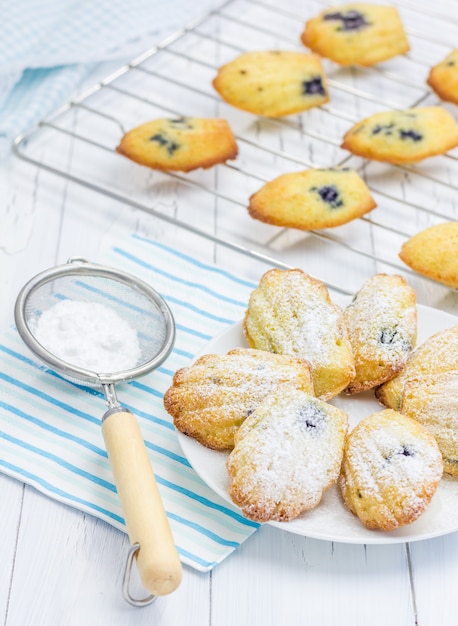 Madeleine fatte in casa con zucchero a velo e mirtilli