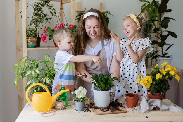 Madre con figlio e figlia in una pianta a digiuno o trapianta fiori al coperto Piccolo aiutante nelle faccende domestiche