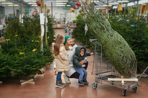 Madre e bambini scelgono un albero di Natale in un mercato.