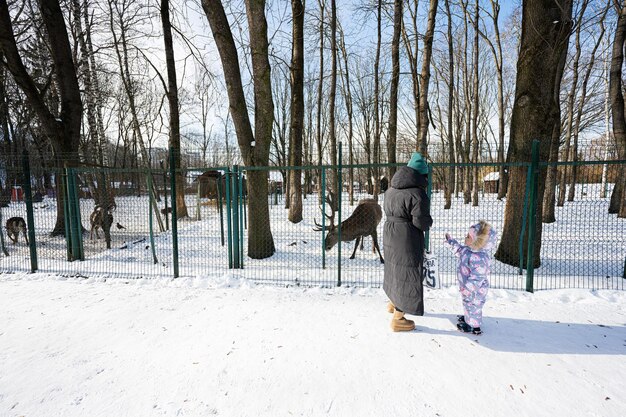 Madre e bambino in una giornata invernale gelida e soleggiata nel parco che alimenta una renna nello zoo