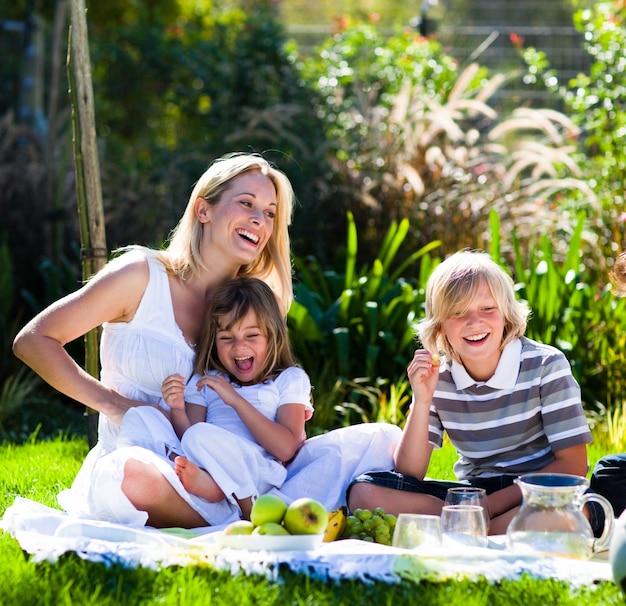 Madre e figli che giocano in un pic-nic