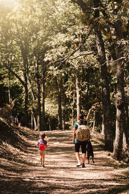 Madre e figlia con i cani che fanno un'escursione nella foresta.