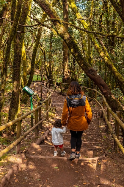 Madre e figlio accanto ad alberi con muschio durante un trekking nel parco naturale di Garajonay a La Gomera Isole Canarie