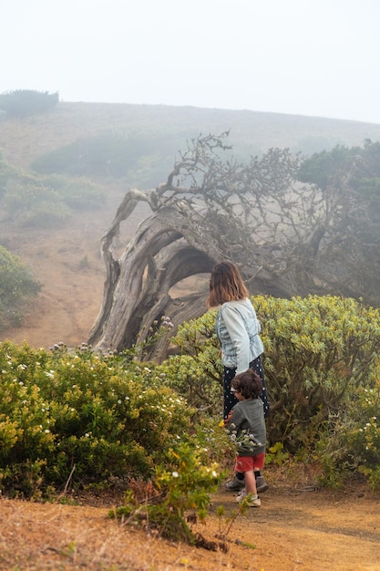 Madre e figlio camminano nella nebbia verso un albero Sabinar attorcigliato dal vento nelle Isole Canarie di El Hierro