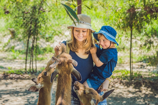 Madre e figlio che alimentano bei cervi dalle mani in uno zoo tropicale