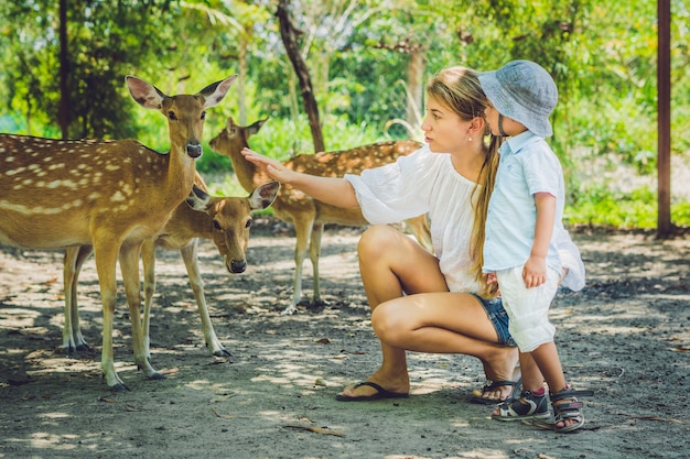 Madre e figlio che alimentano bei cervi dalle mani in uno zoo tropicale.