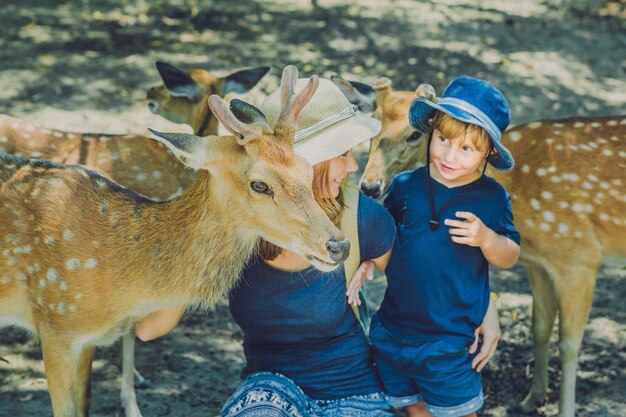 Madre e figlio che alimentano bei cervi dalle mani in uno zoo tropicale