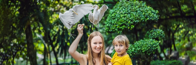 Madre e figlio che alimentano ibes nel parco garzetta garzetta garzetta bubulcus ibis water edge family