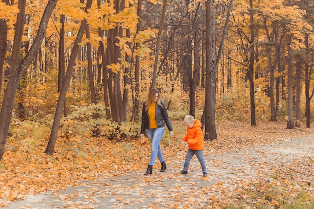 Madre e figlio che camminano nel parco autunnale e si godono la bellissima stagione della natura autunnale single