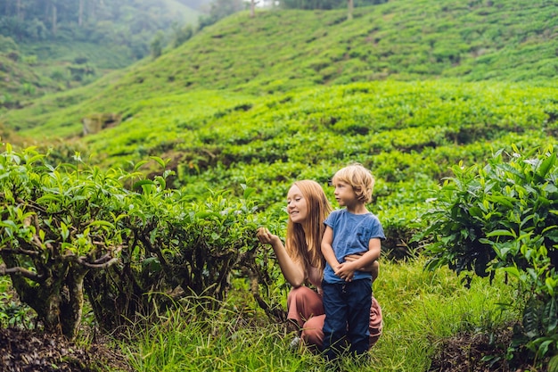 Madre e figlio viaggiano in una piantagione di tè in Malesia. Viaggiare con il concetto di bambini