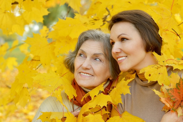 Madre e la sua simpatica figlia nel parco autunnale