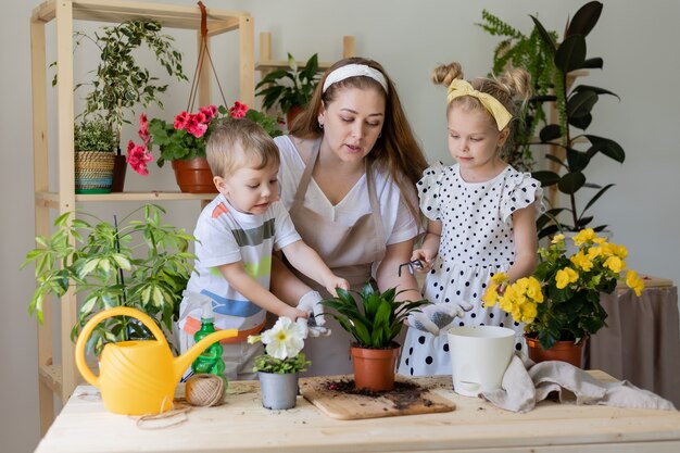 Madre suo figlio e sua figlia in una pianta a digiuno o trapiantano fiori al coperto Piccolo aiutante nelle faccende domestiche