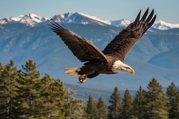 Maestosa aquila calva che vola sopra la foresta