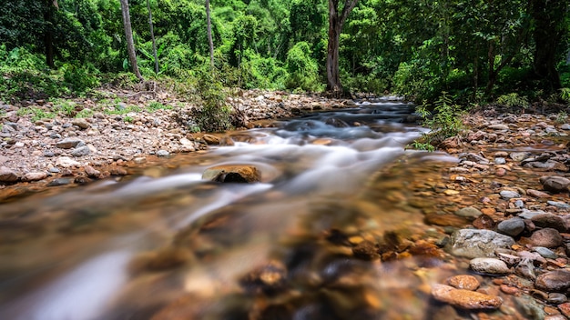 Maestosa cascata profonda che scorre nella foresta pluviale con luce solare, natura selvaggia panoramica e freschezza del paradiso umido al mattino, escursioni nella foresta naturale selvaggia