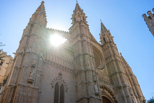 Maestosa Cattedrali di Maiorca Splendore gotico