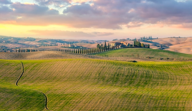 Maestosa vista panoramica della tipica campagna toscana natura paesaggio Splendide colline all'alba campi di cipressi e strada rurale Italia Europa