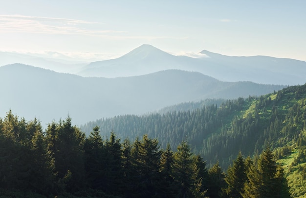 Maestose montagne dei Carpazi Bellissimo paesaggio di natura incontaminata