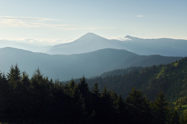 Maestose montagne dei Carpazi Bellissimo paesaggio di natura incontaminata