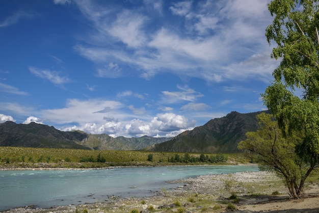 Maestoso fiume Katun circondato da montagne rocciose, rive boscose contro il cielo con nuvole