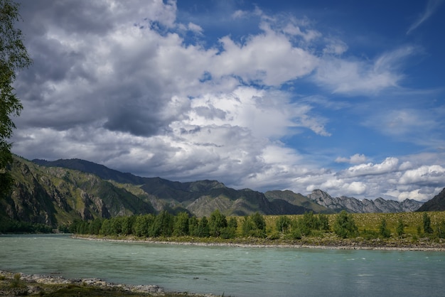 Maestoso fiume Katun circondato da montagne rocciose, sponde boscose contro un cielo azzurro con nuvole bianche
