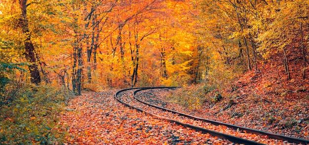 Maestoso paesaggio naturale. Vista in prospettiva. Viaggio da sogno, avventura a piedi di energia positiva per la libertà