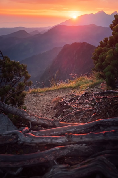 Maestoso tramonto dorato con travi di sole nel grande paesaggio di montagna. Parco nazionale degli Alti Tatra, Polonia