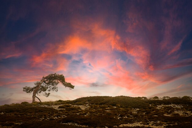 Maestoso tramonto nel paesaggio delle montagne