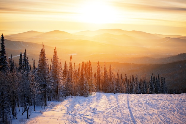 maestoso tramonto nella foresta invernale