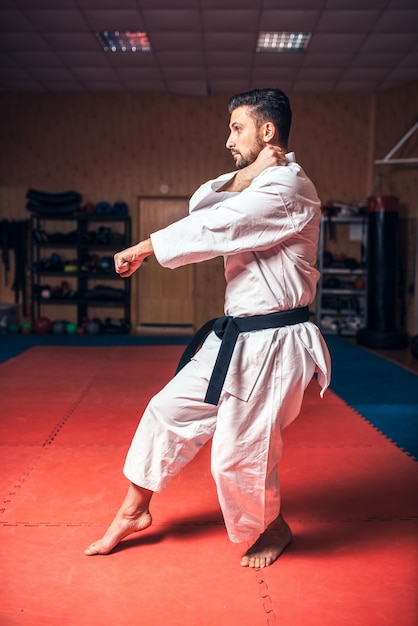 Maestro di arti marziali su allenamento di combattimento in palestra