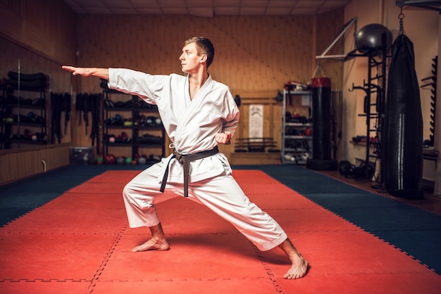 Maestro di arti marziali su allenamento di combattimento in palestra