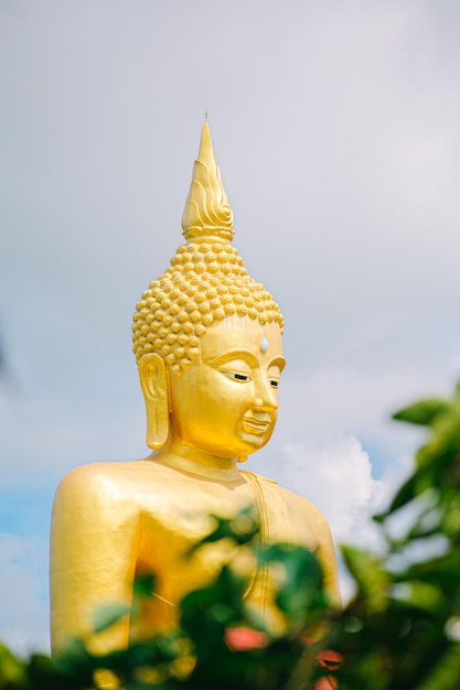 Magha Asanha Visakha Puja Day , statua del Buddha , foglia di bodhi con doppia esposizione e lente svasata , sof