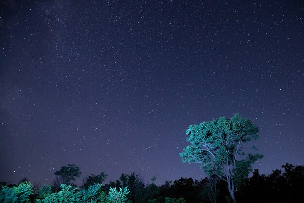 Magica via lattea stellata di notte