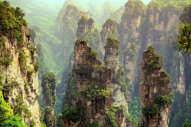 magico paesaggio delle montagne Avatar Luce del tramonto Wulingyuan Zhangjiajie Cina