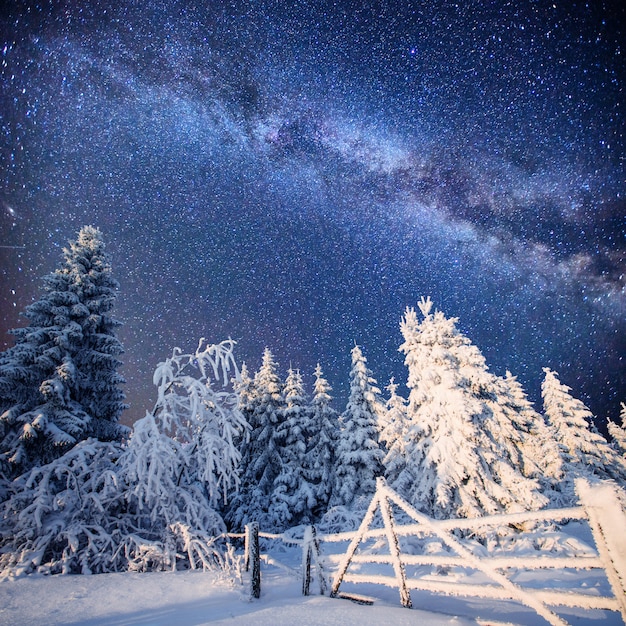 Magico paesaggio invernale