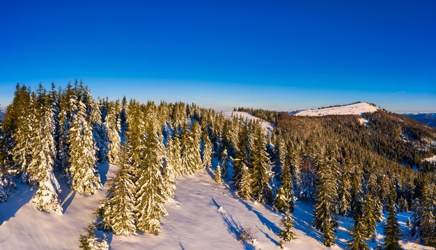 Magico panorama invernale di bellissime piste innevate