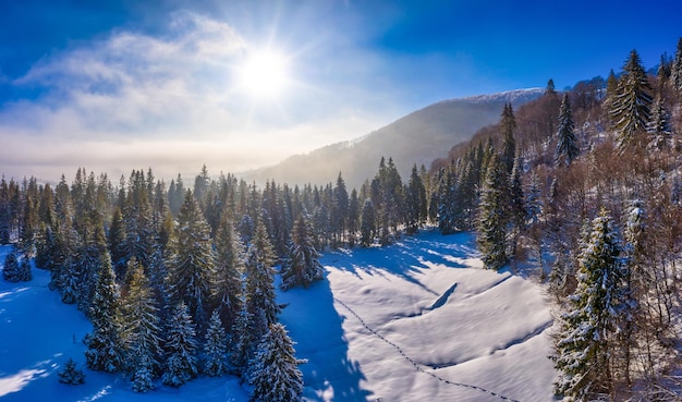 Magico panorama invernale di bellissime piste innevate